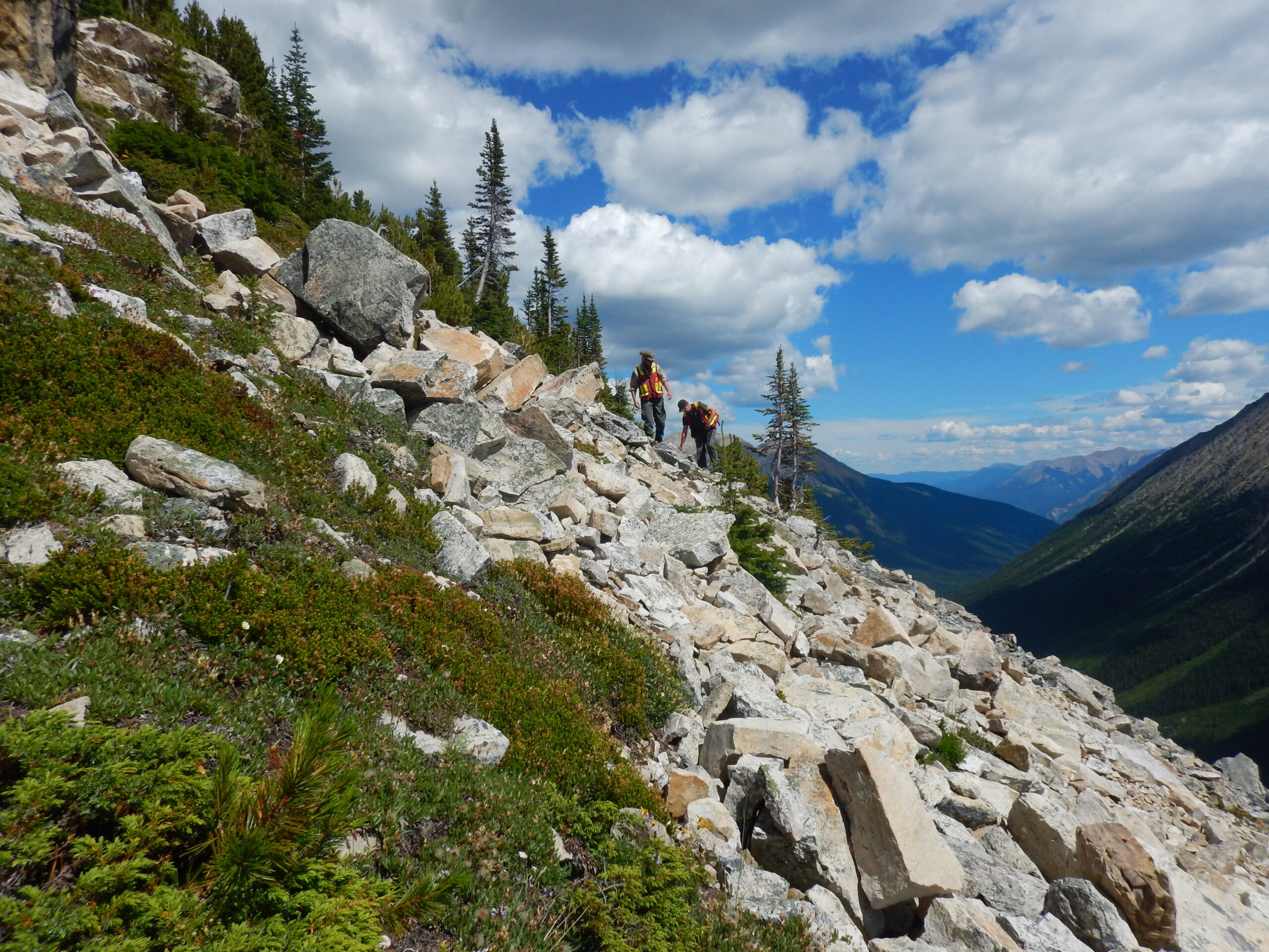 Image of Seeking Fieldwork Contractors