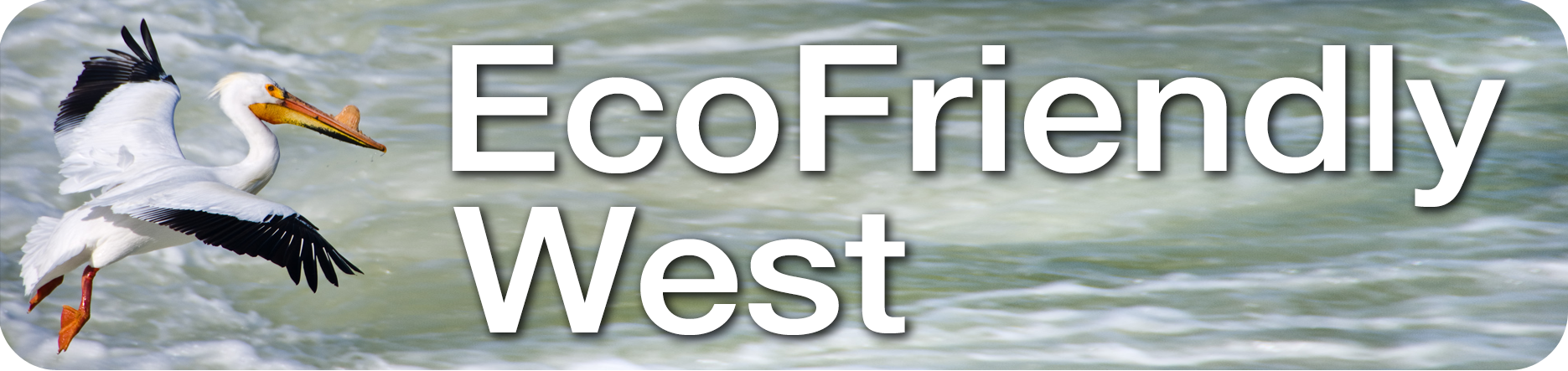 Image of EcoFriendly West Article