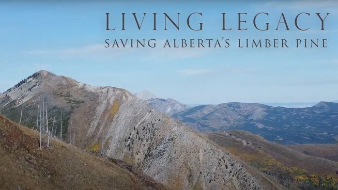 Image of Living Legacy