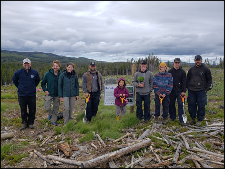 Image of Spring Cleaning Field Day
